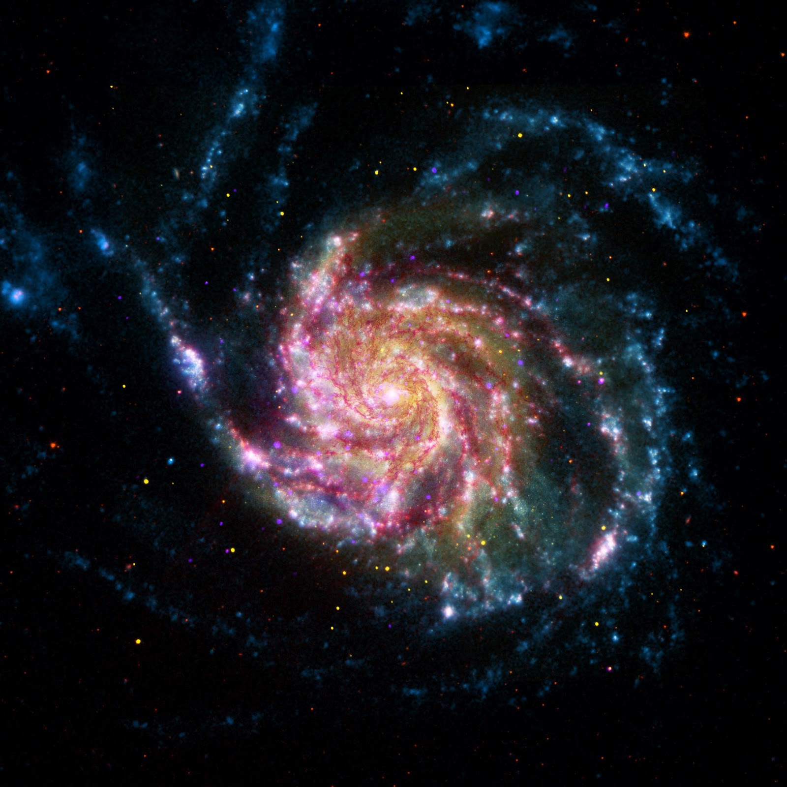 pinwheel galaxy amateur image